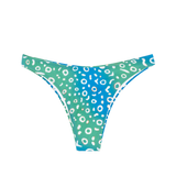 Flamands Paraiba Ray