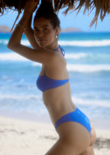 Flamands Sylvia Blue